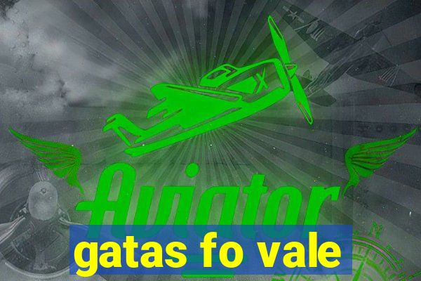 gatas fo vale